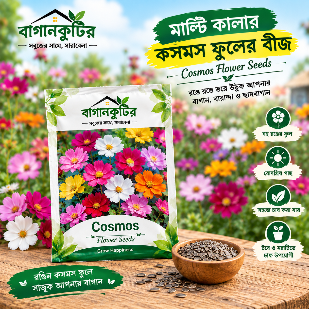 মাল্টি কালার কসমস